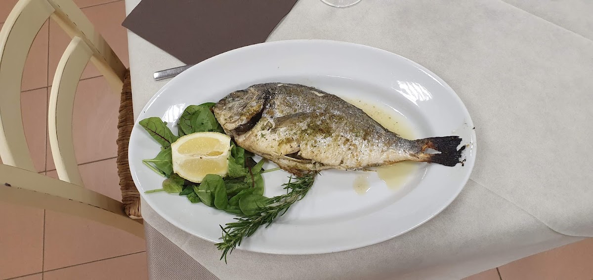 Osteria del Gineprino Photo 9