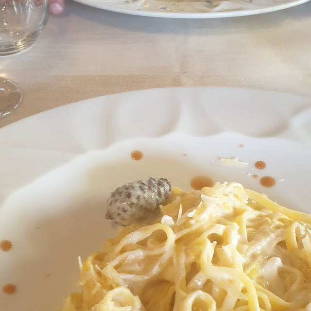 Tagliolini Al Pino Mugo E Fettuccine Con Asparagi E Spugnole Pasta Fatta In Casa