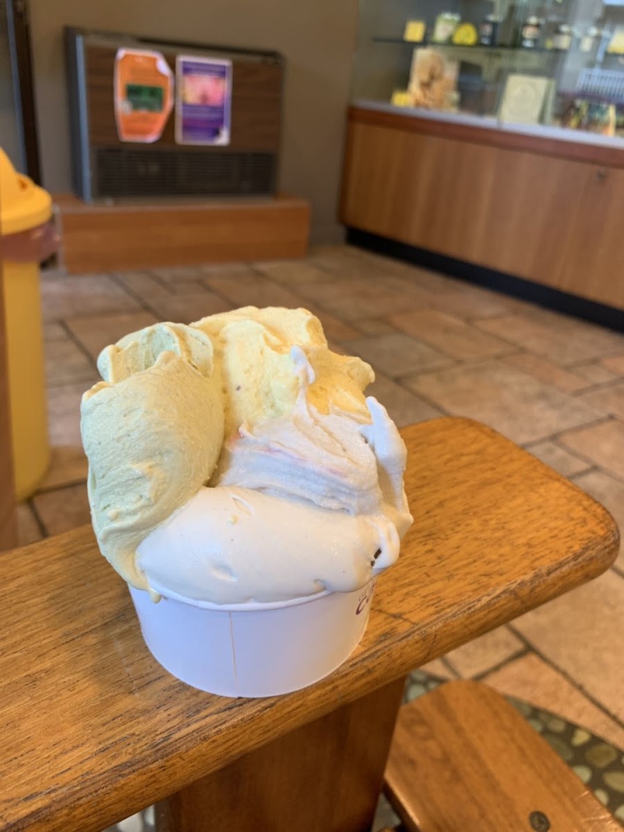 Gelateria Cagliani Photo 5