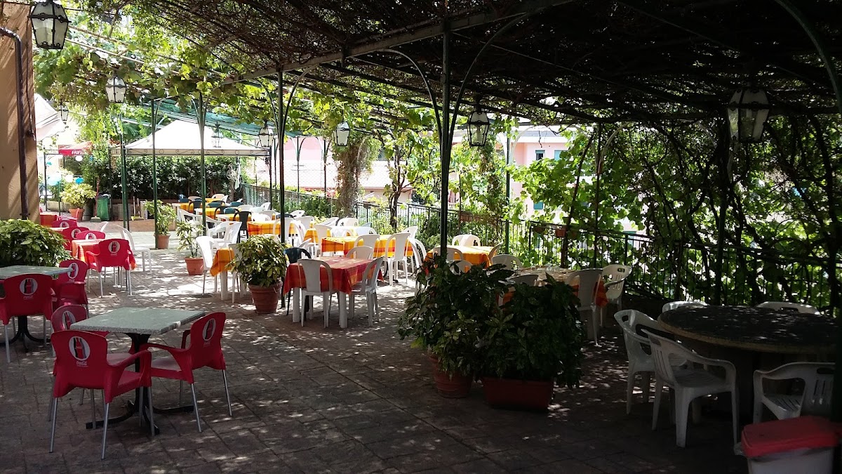 Dria Pizzeria Trattoria dal 1886 Photo 4
