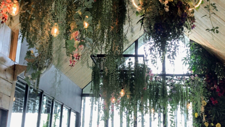 Hunza Cafe and Pizza Photo 3