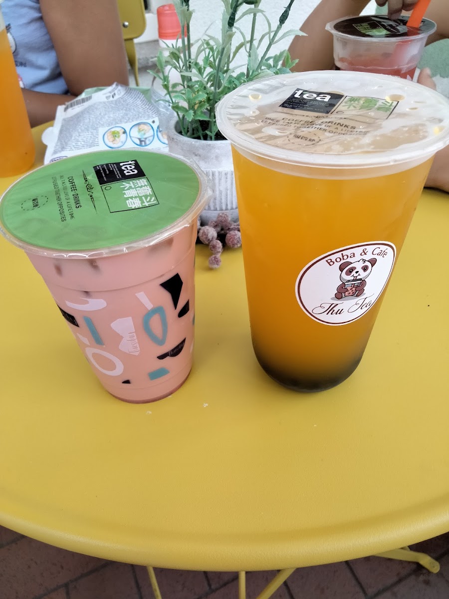 Thu Tea Photo 7