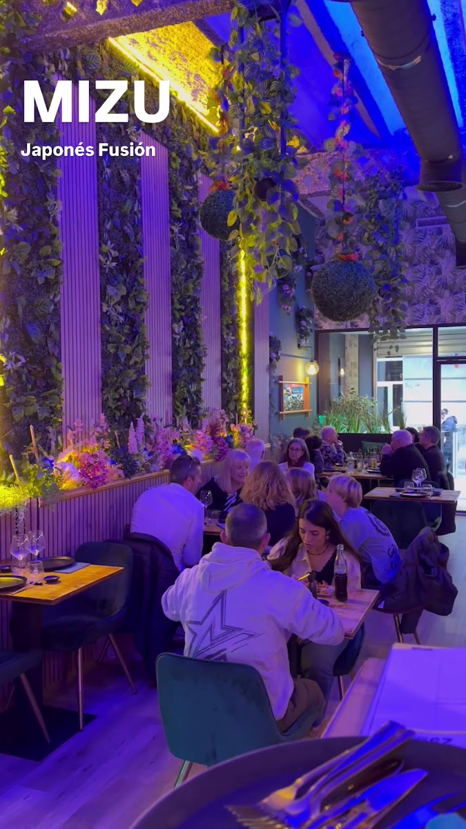 Restaurant Mizu