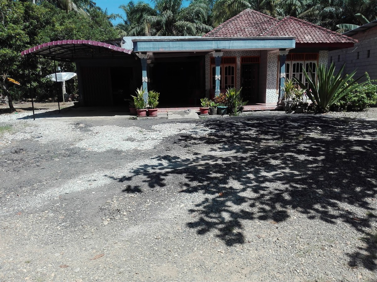 Pak Wo Coffe Photo 3