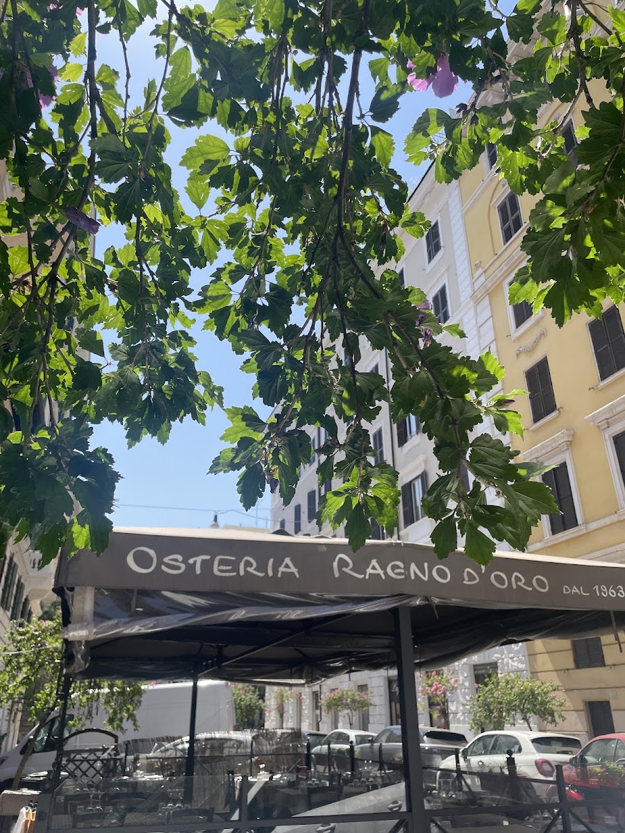 Osteria Ragno d'oro Photo 4