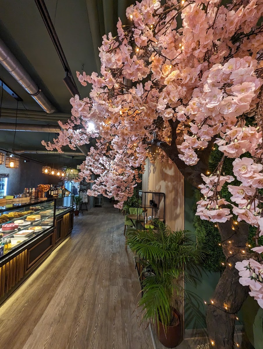 Café Melori Erlangen Photo 4