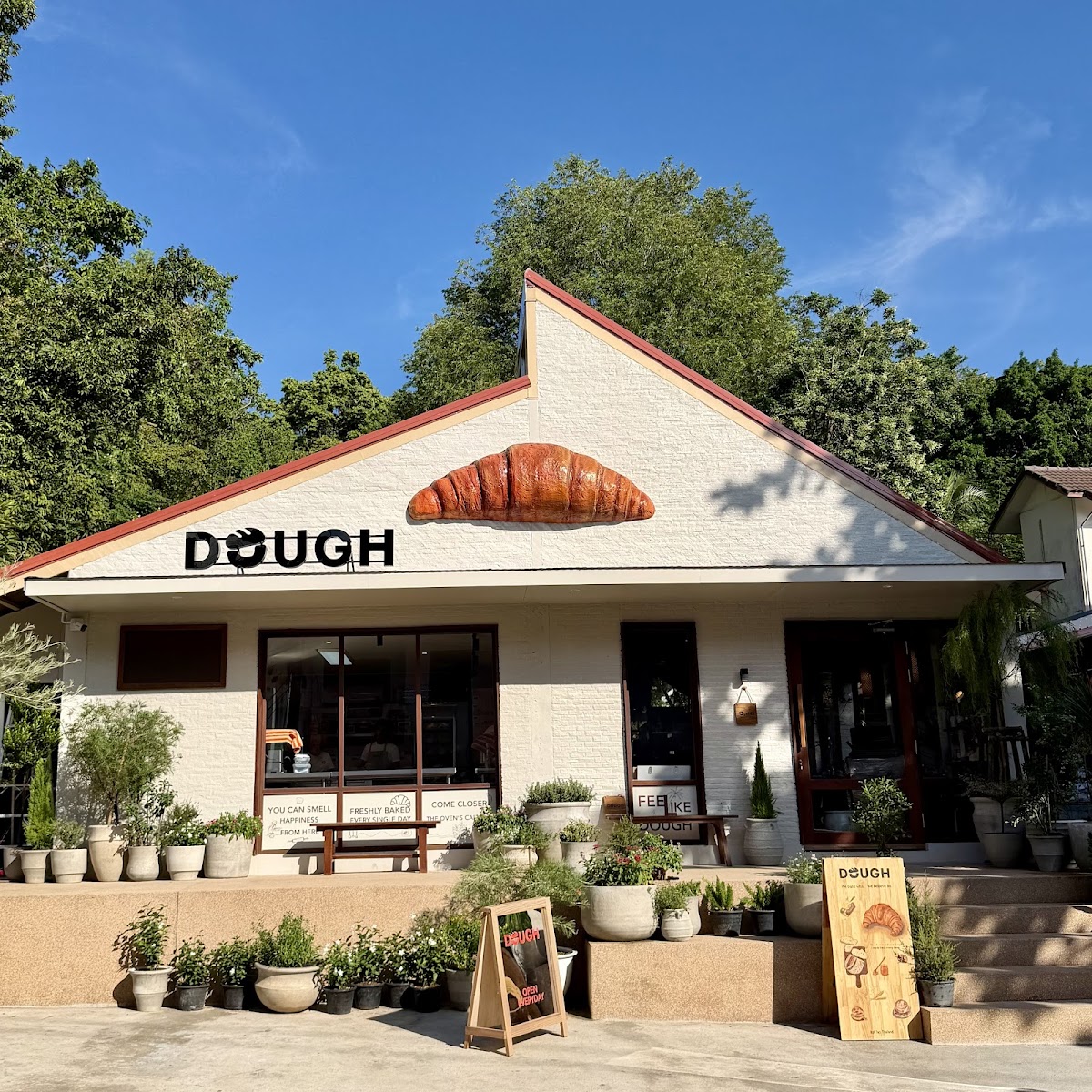Dough Koh Tao