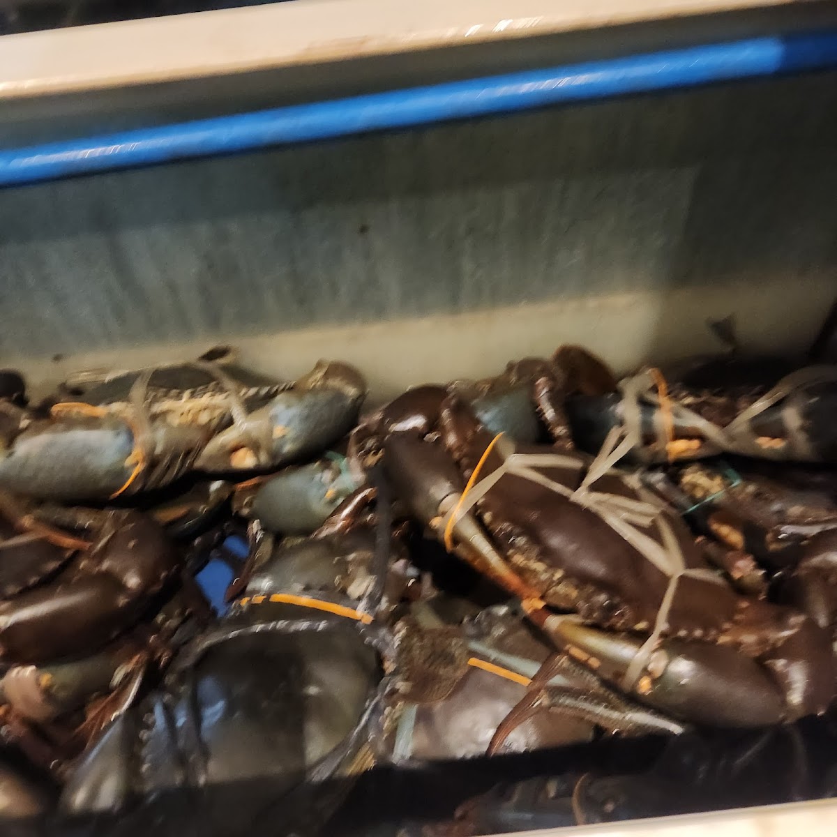 Red Crab Restaurant Photo 7