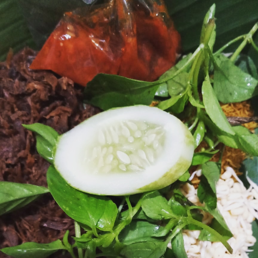 SriWijaya Vegetarian Photo 9