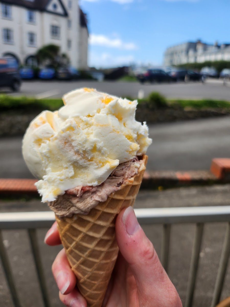 Taste of Cornwall Photo 8