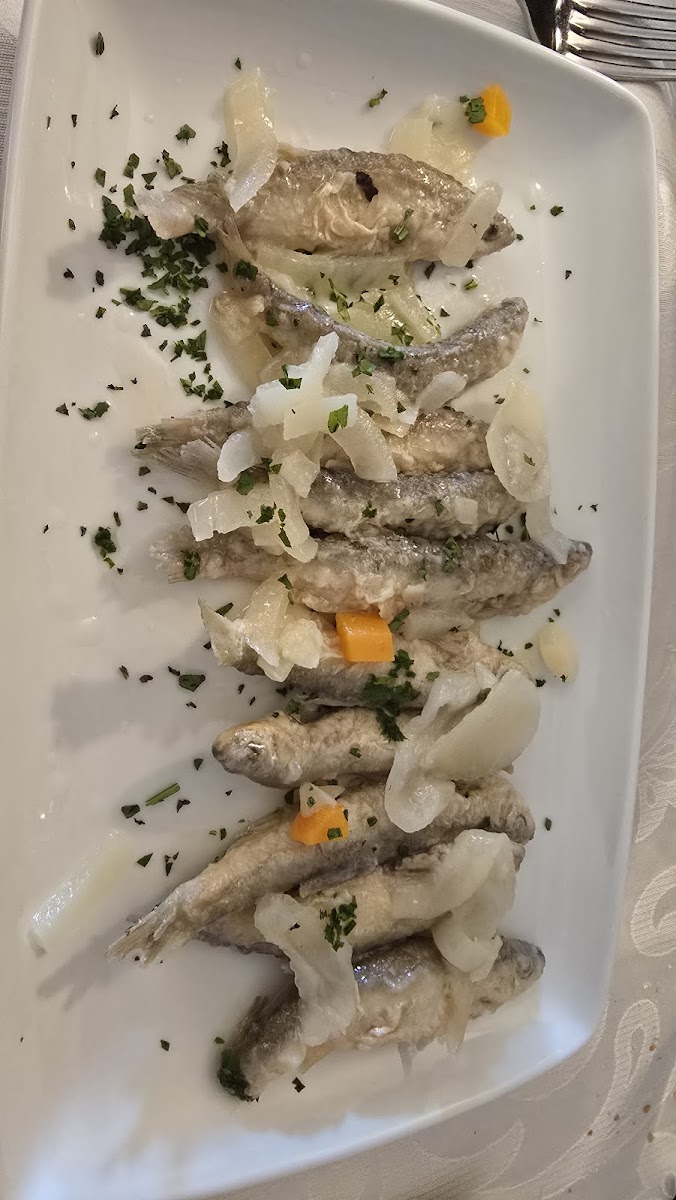 Trattoria Alla Pergola Photo 10