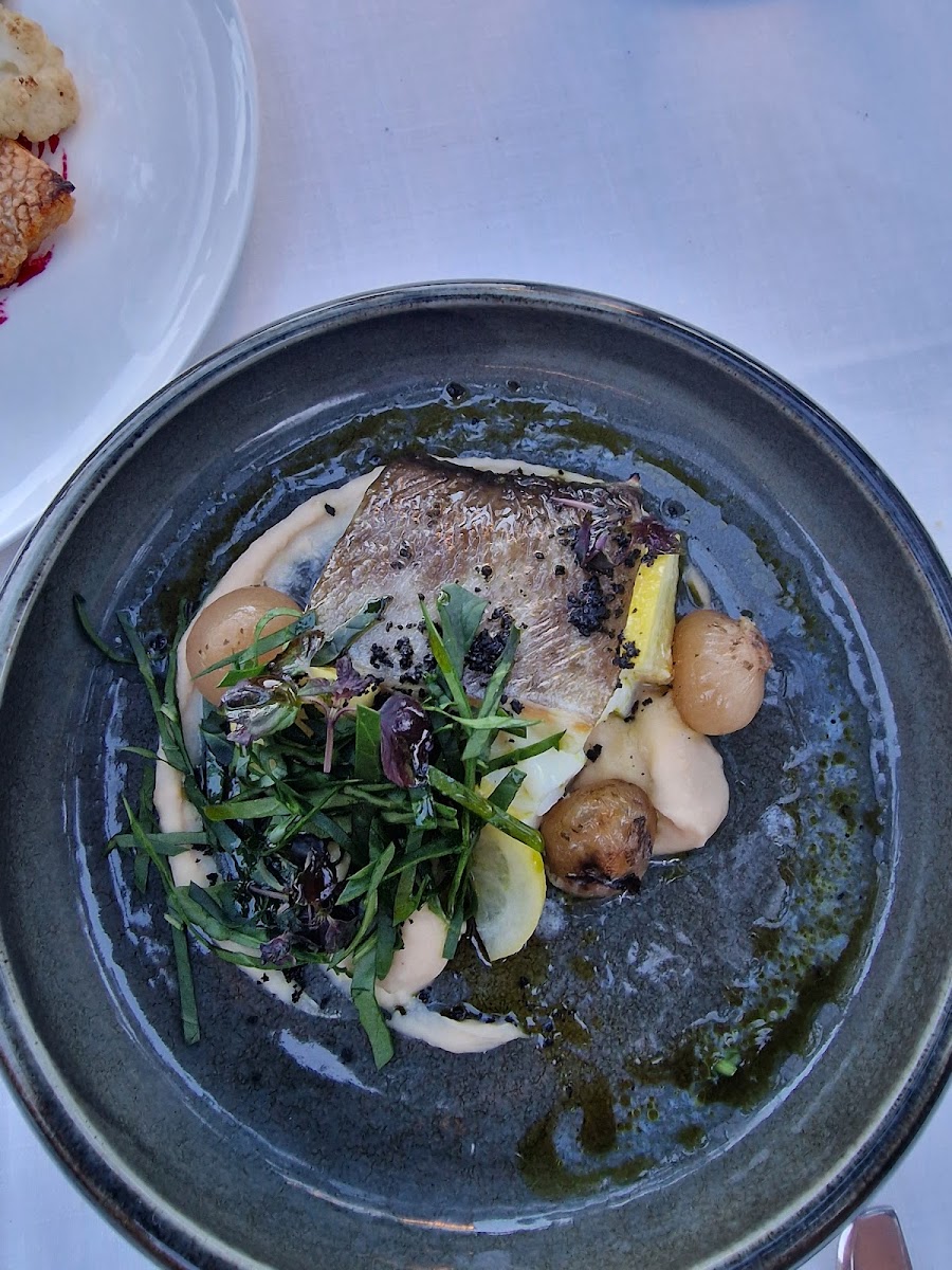 Restaurant SantaMar Photo 9