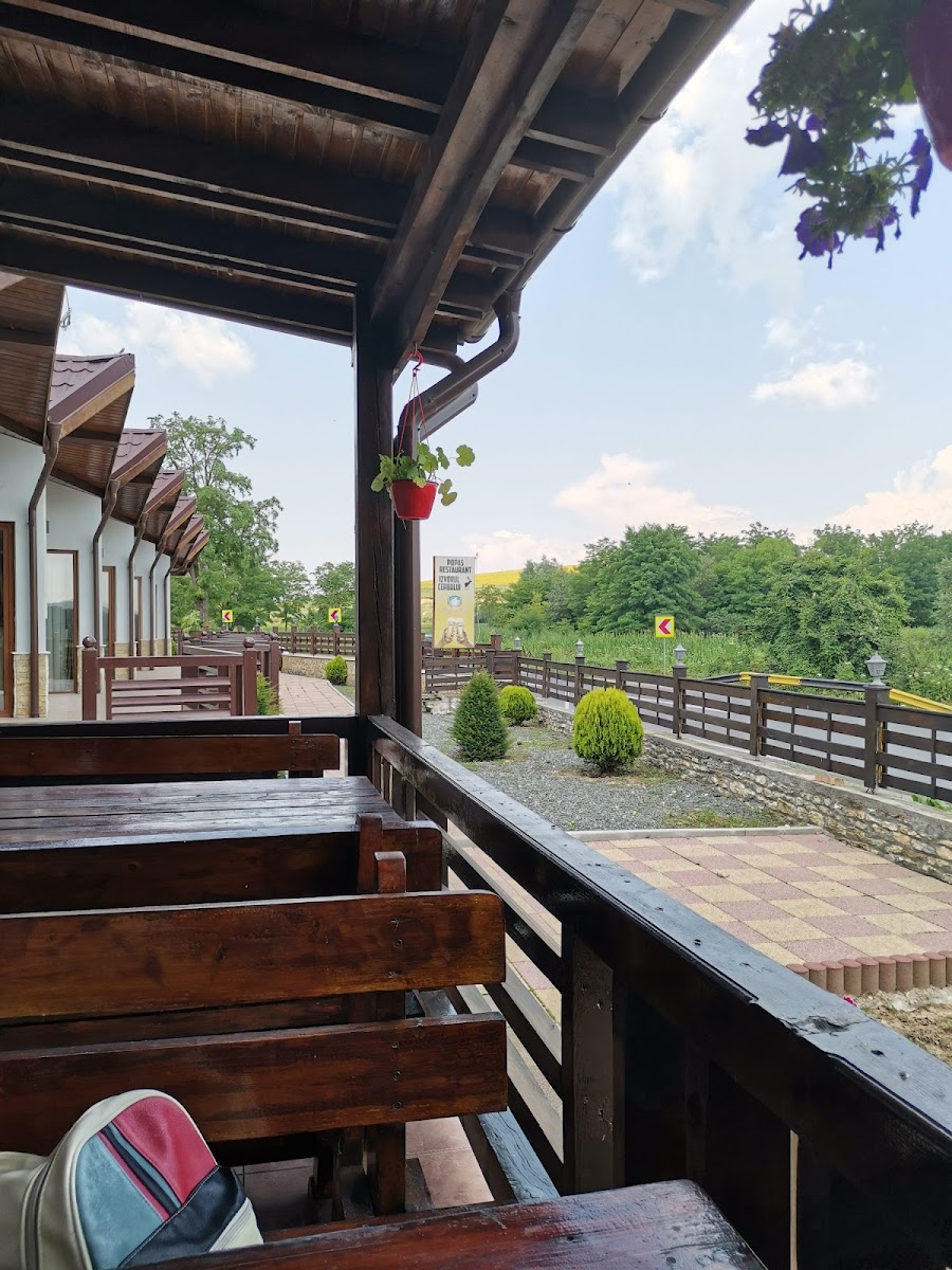 Popas Cicurova