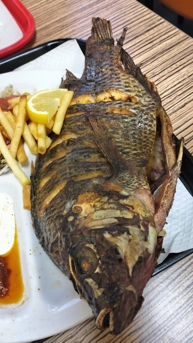 Kappa due kebab & Resturante Photo 10