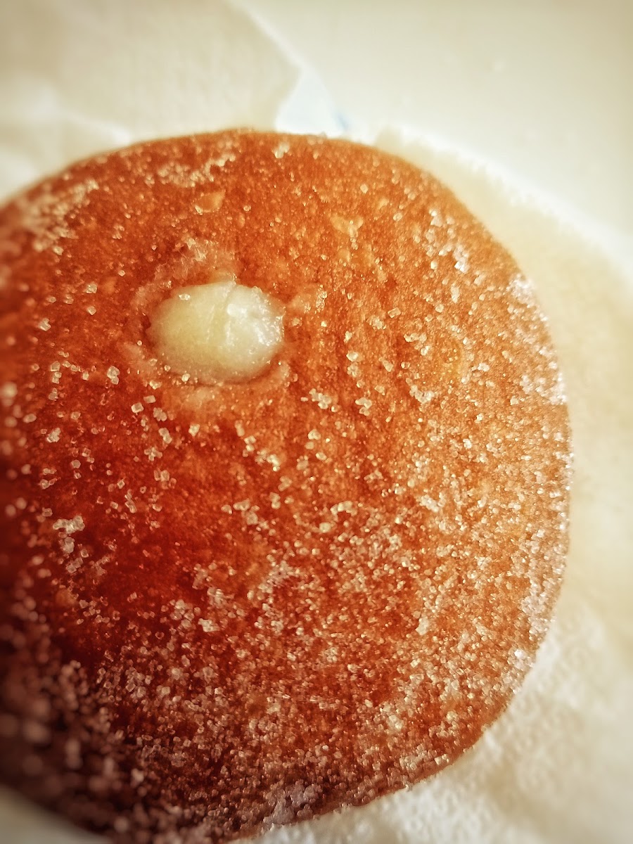 Bello - Caffetteria Pasticceria Photo 5