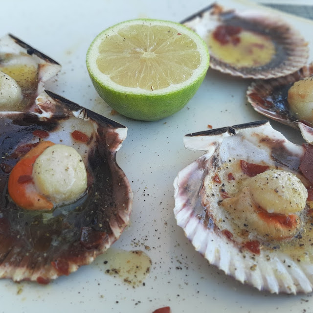 Grilled Galician Scallops with Crunchy Iberian Ham