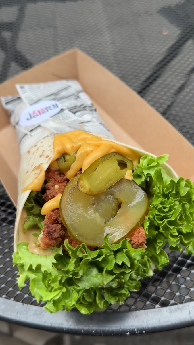 Fusion Tasty - Beef & Fries Photo 6