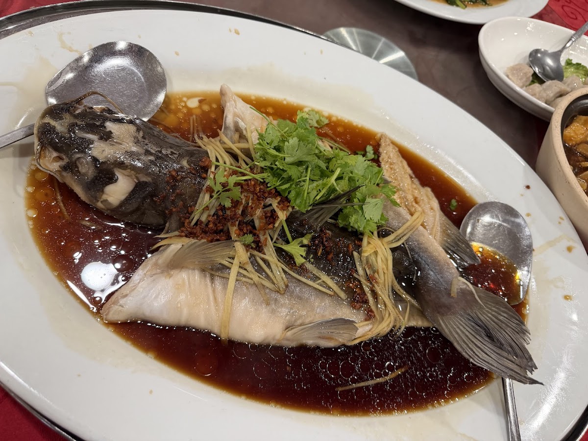 Restoran Ikan Air Tawar Chai Chee Photo 4