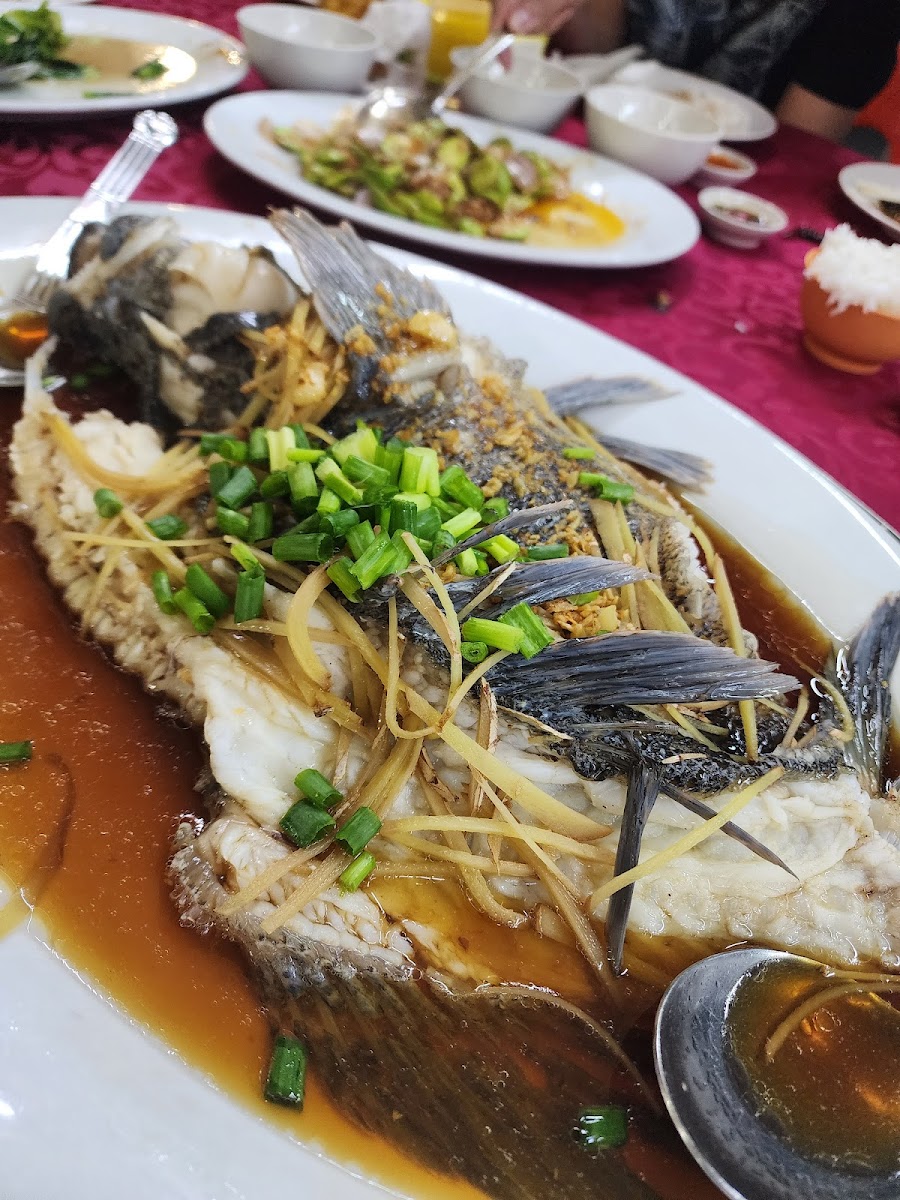 Restoran Ikan Air Tawar Chai Chee Photo 6