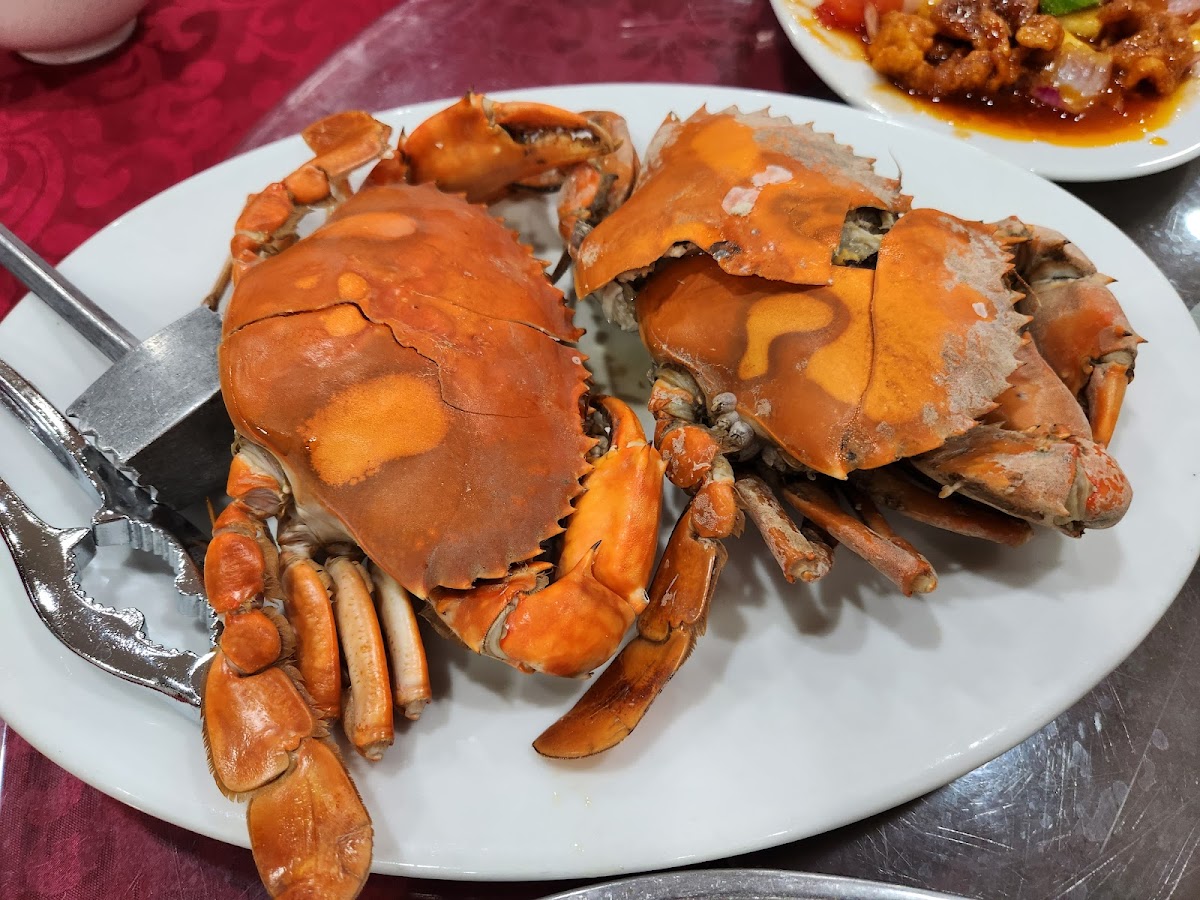 Restoran Ikan Air Tawar Chai Chee Photo 8