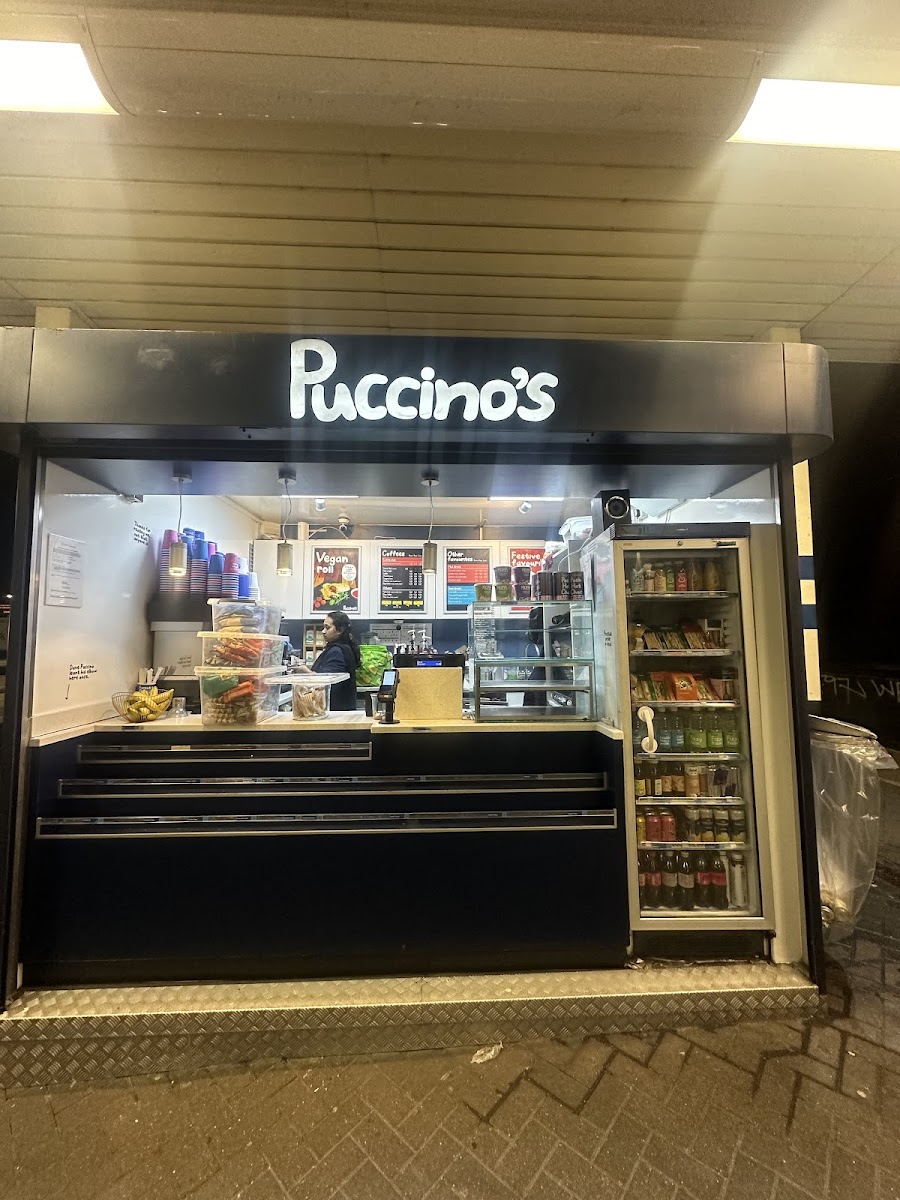 Puccino's Photo 6