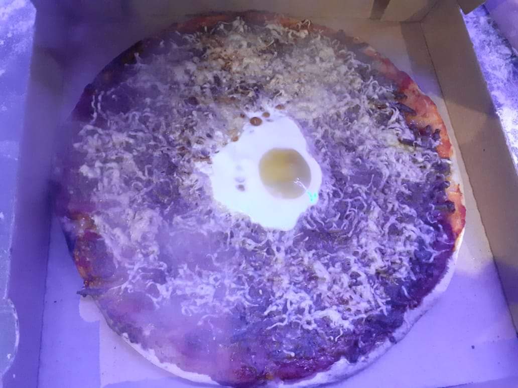 Camion Pizza Time S Photo 3