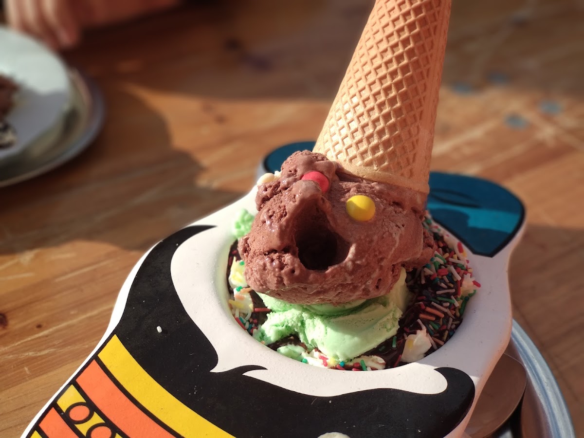 Il Gelato Photo 4