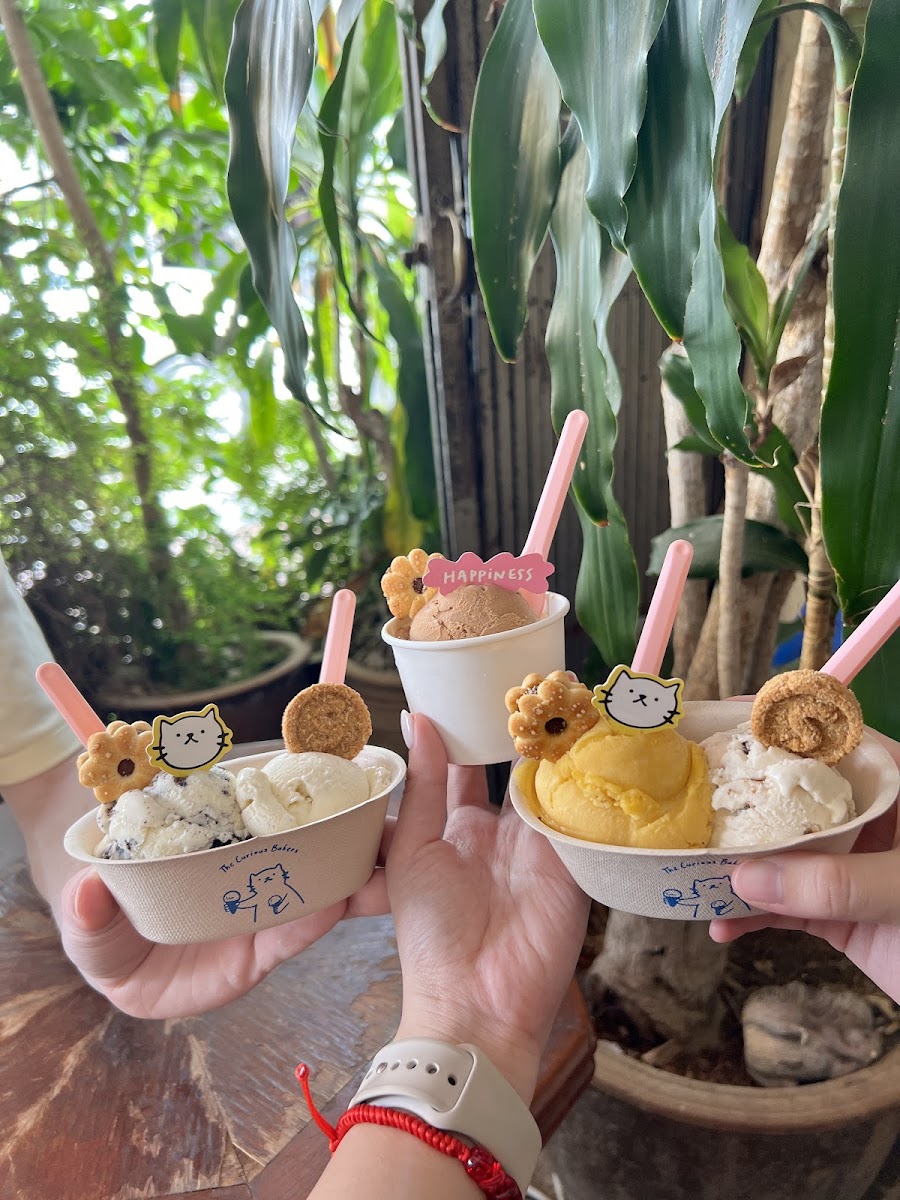 The Curious Bakers Gelato Photo 3