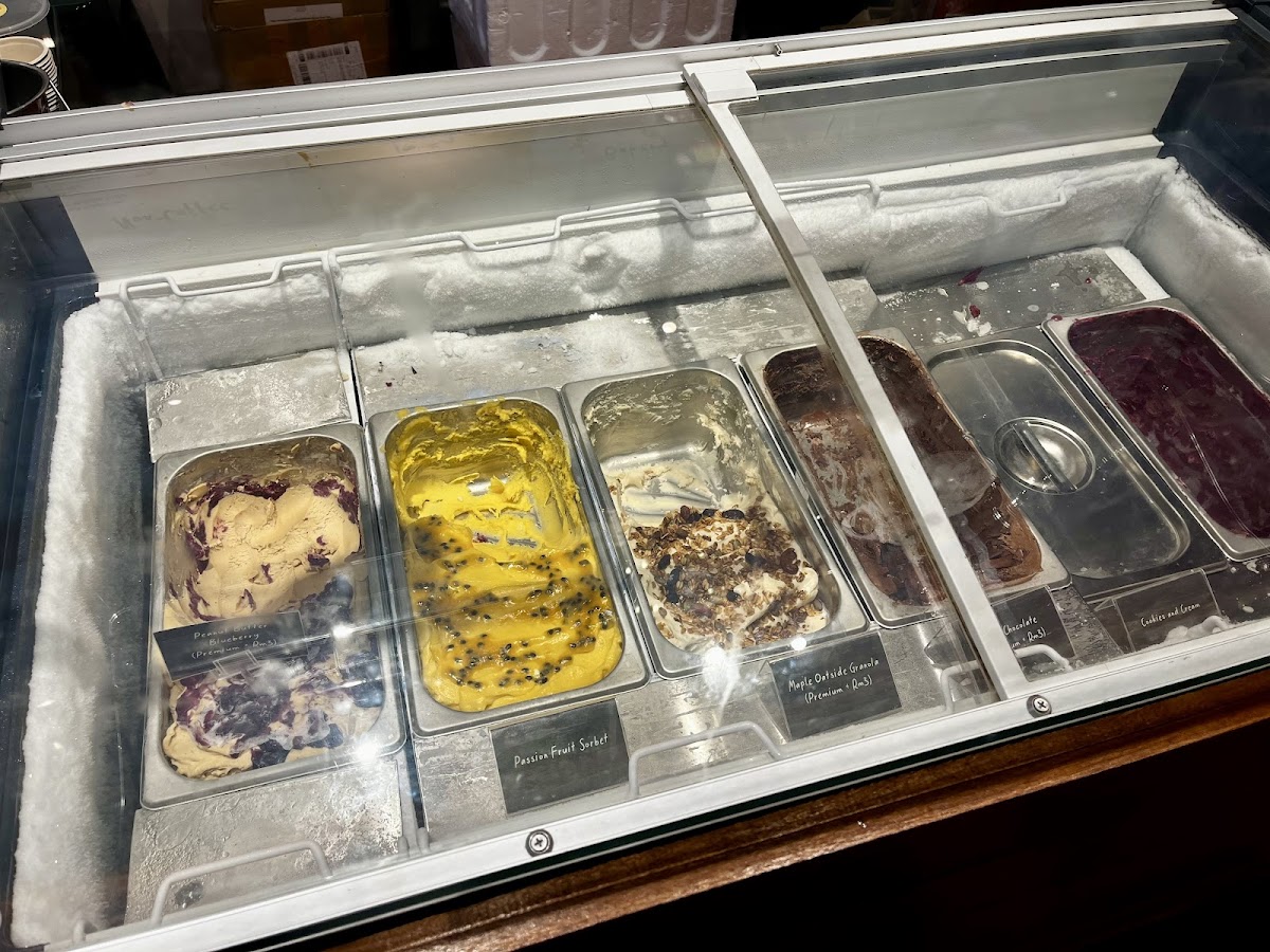 The Curious Bakers Gelato Photo 6