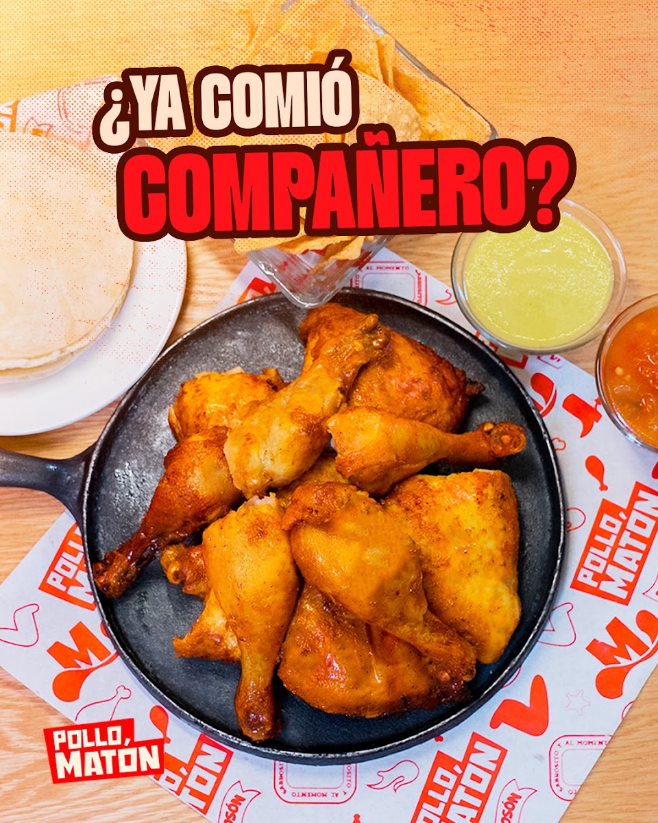 Pollo Matón Rodrigo Gómez Photo 3