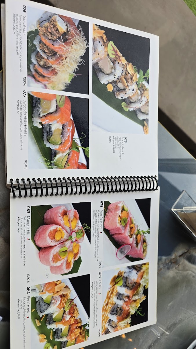 Yummy Sushi Photo Menu 2