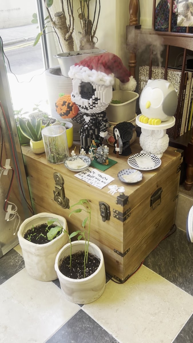 Grandma’s Coffee Photo 2