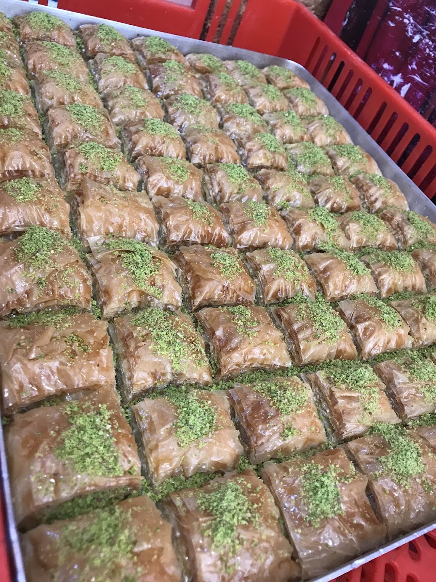 Dogan Döner- und Pizzahaus - Offenbach an der Queich Photo 5