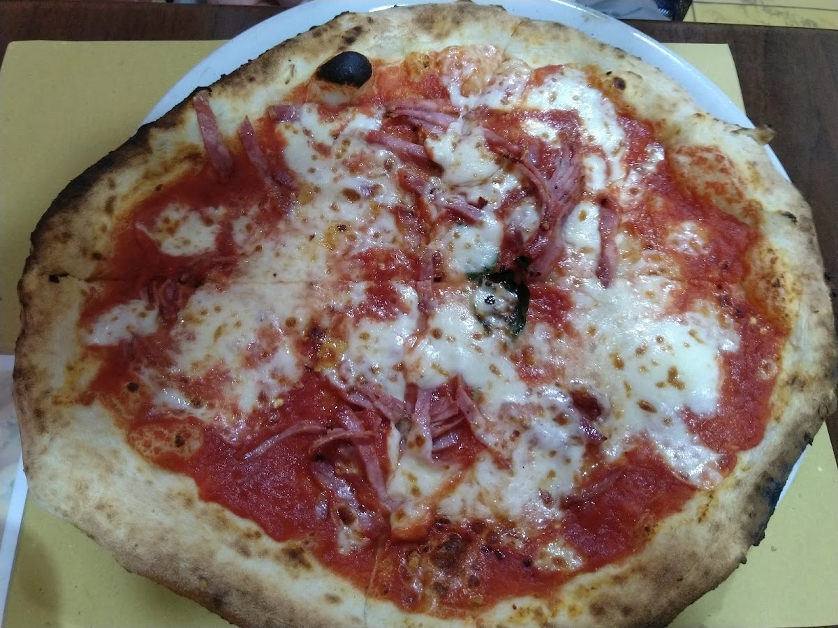 PIZZERIA MIA NAPOLI Photo 6