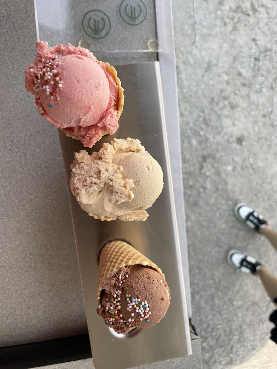 Ve-ro Eis Photo 8