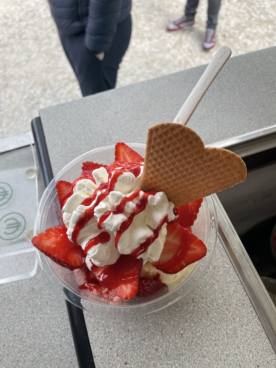 Ve-ro Eis Photo 9