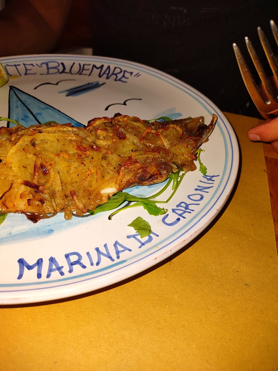 Bluemare Photo 8