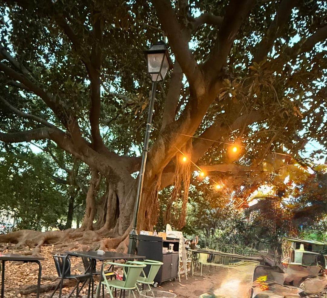 Esplanada Cafe Photo 4