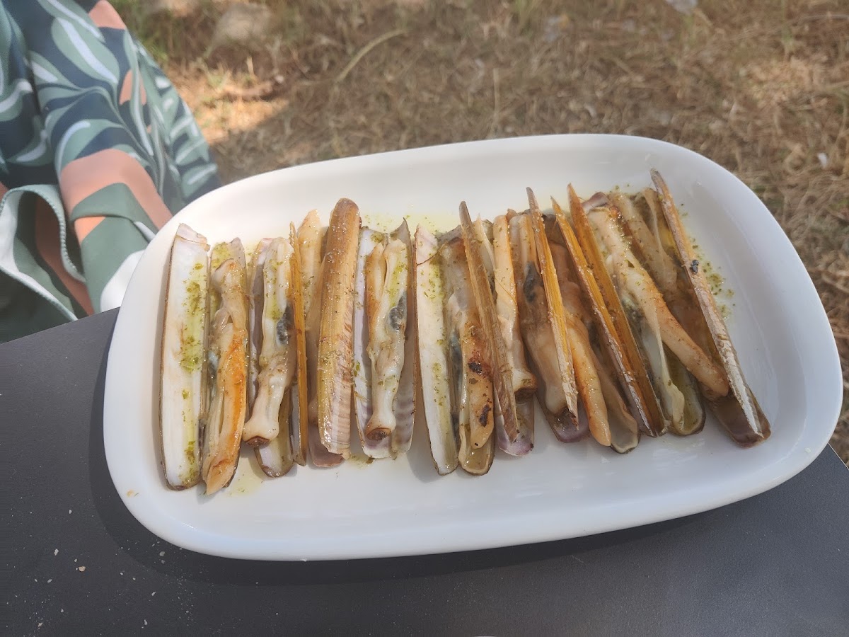 Chiringuito Con Cocodrilo Photo 7