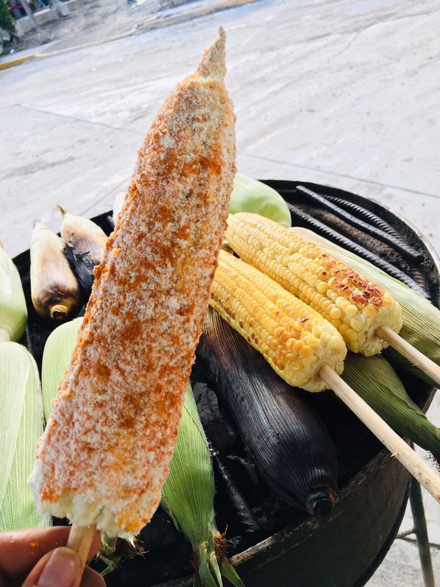 ELOTES Y TROLELOTES DE MEQUETLA Photo 4