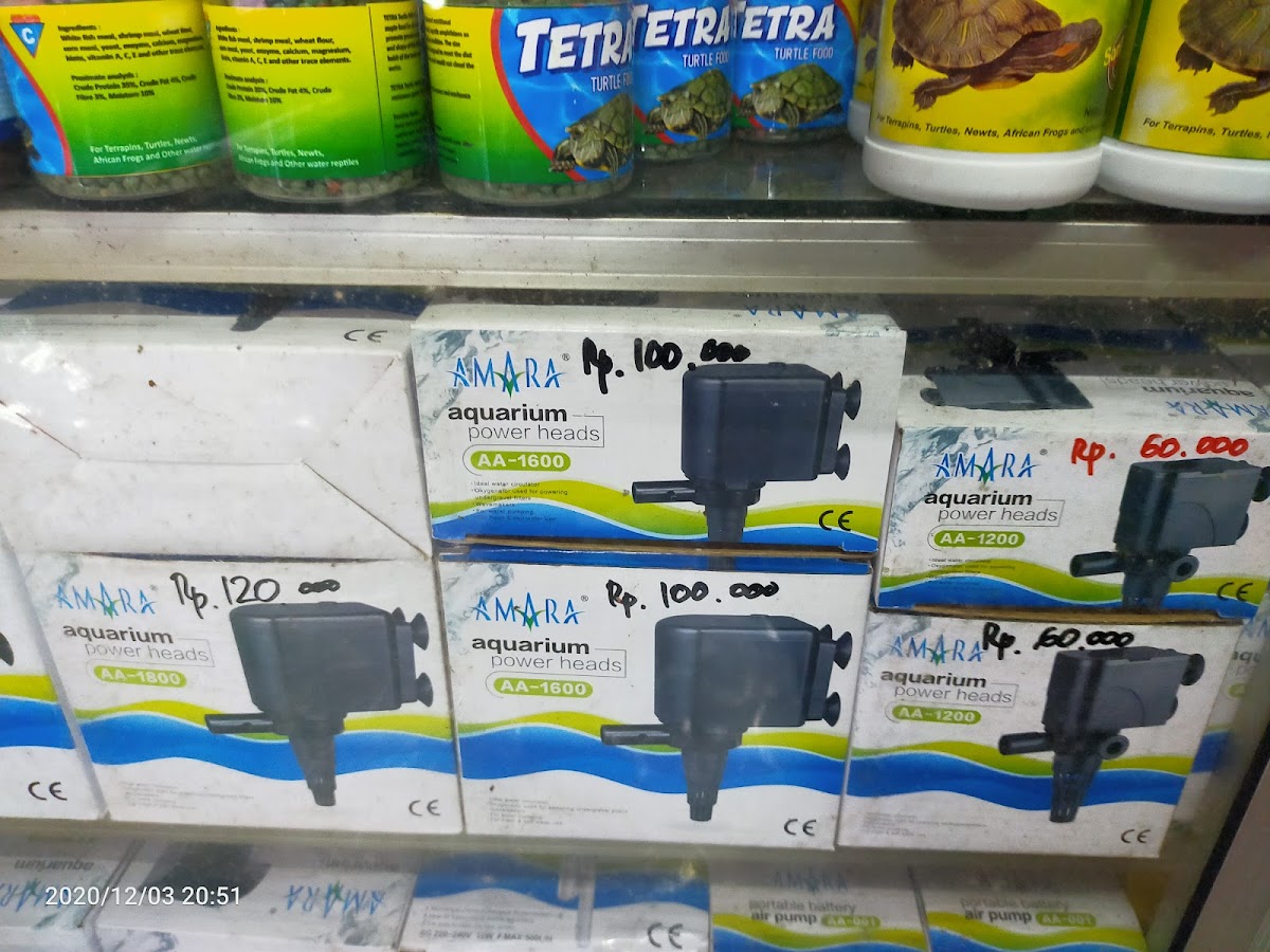 Pempek Palembang 'Cik Noni' Photo 2