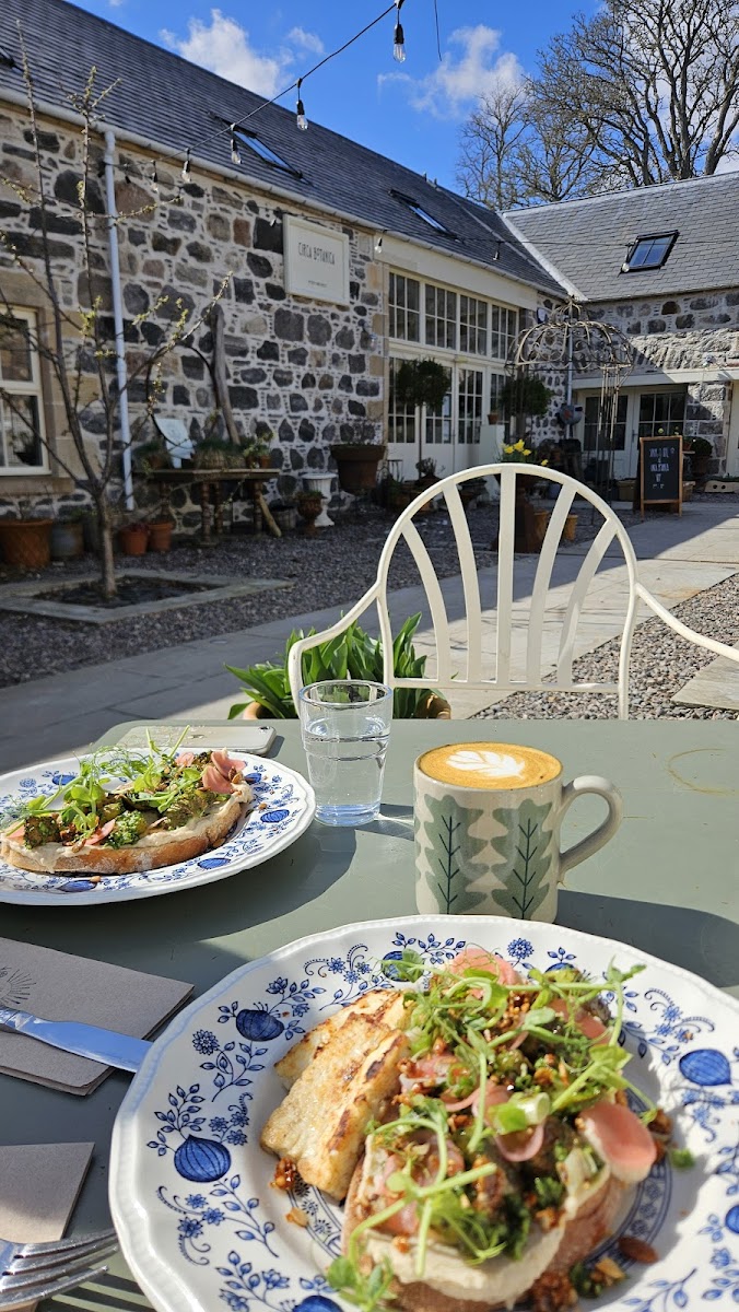 Wild Gorse Kitchen Photo 4