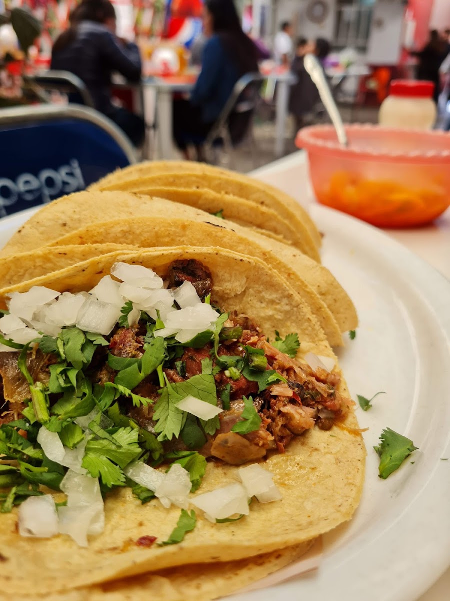 Barbacoa 'Hnos SAUZA' Photo 10