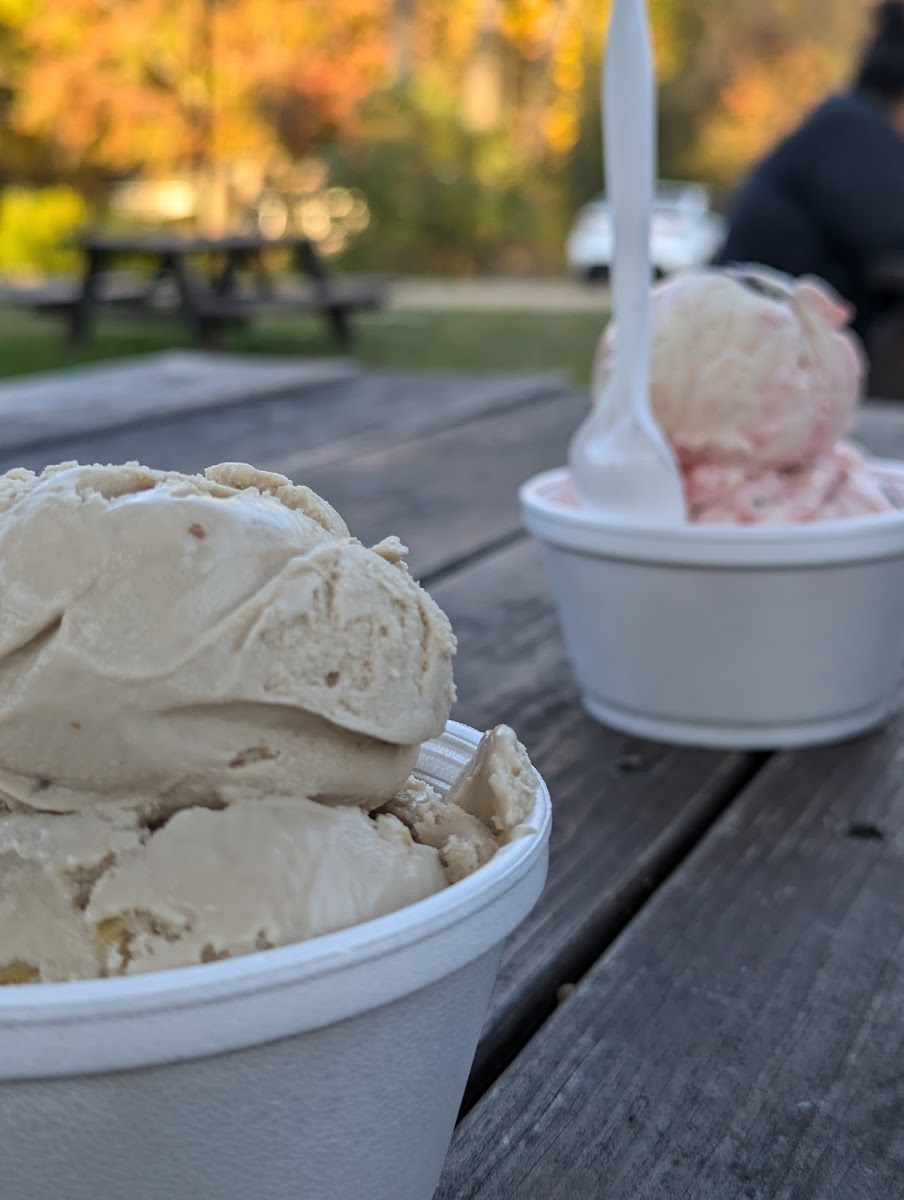 Rich Farm Ice Cream, Middlefield Photo 5