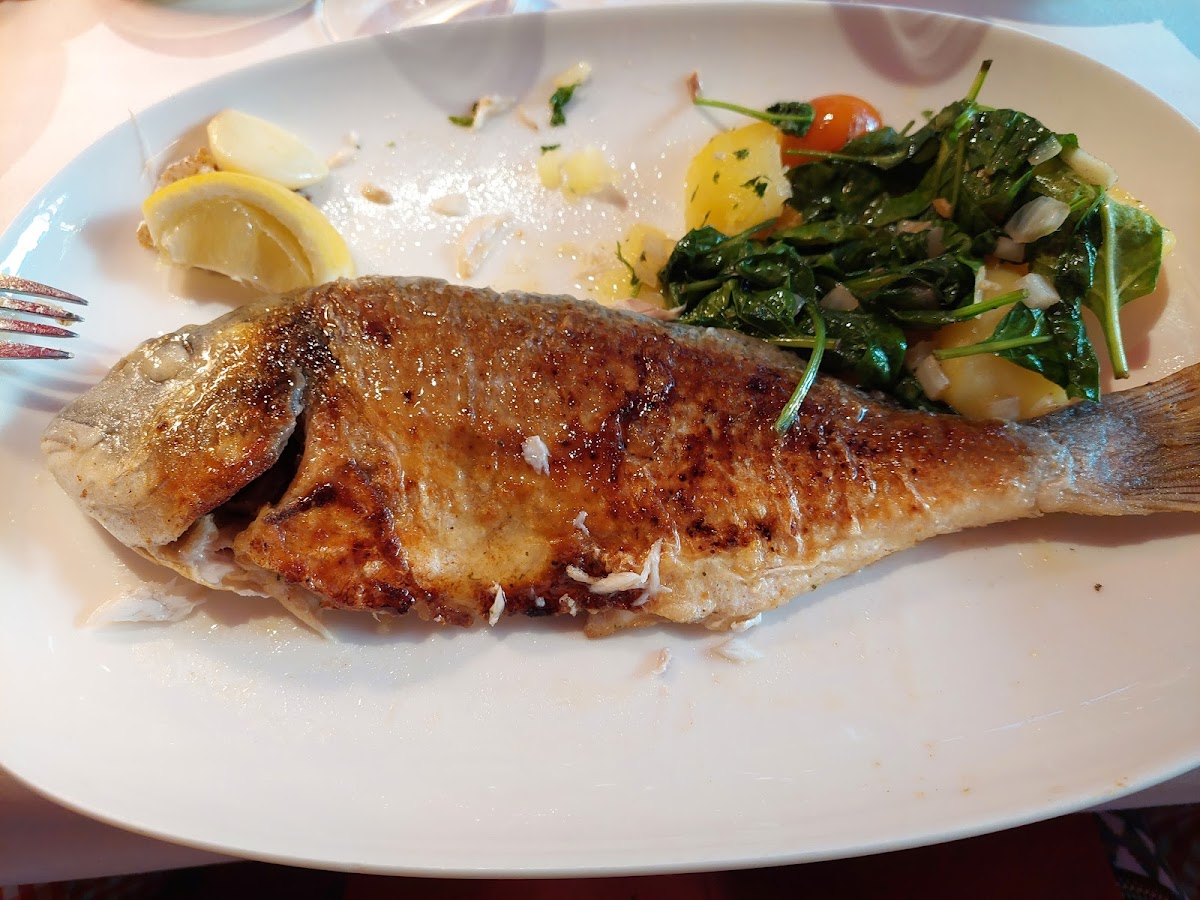Restaurant Katzen-Café - Bremen Photo 7