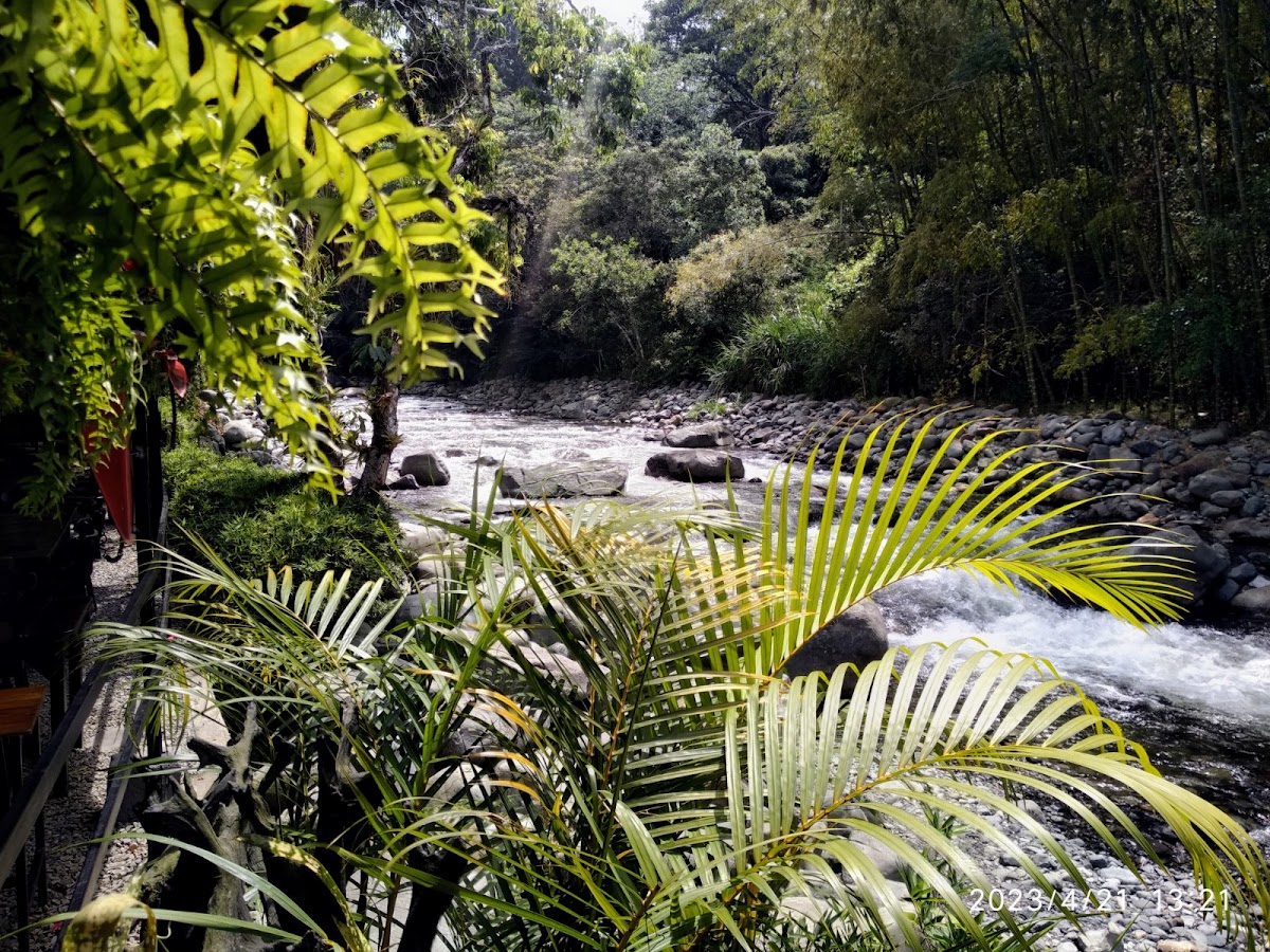 Piedra Grande Estadero Photo 4