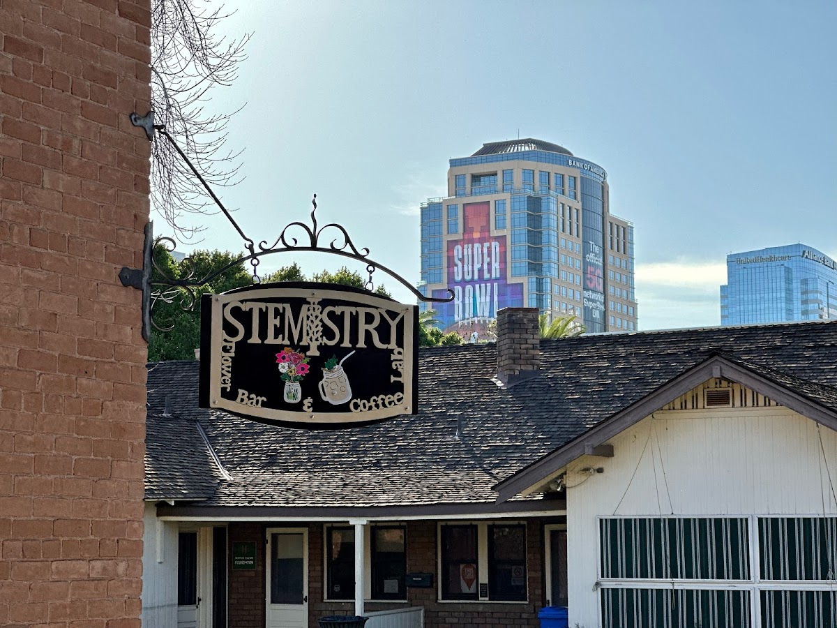 Stemistry