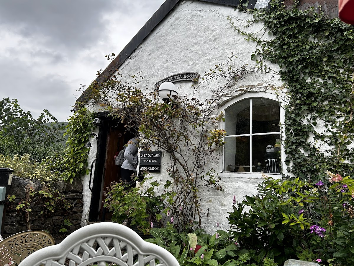 Ivy Cottage Vintage Tea Room Photo 4