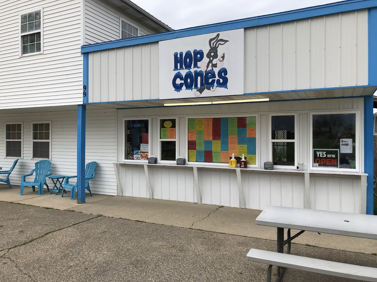 Hop Cones Photo 3