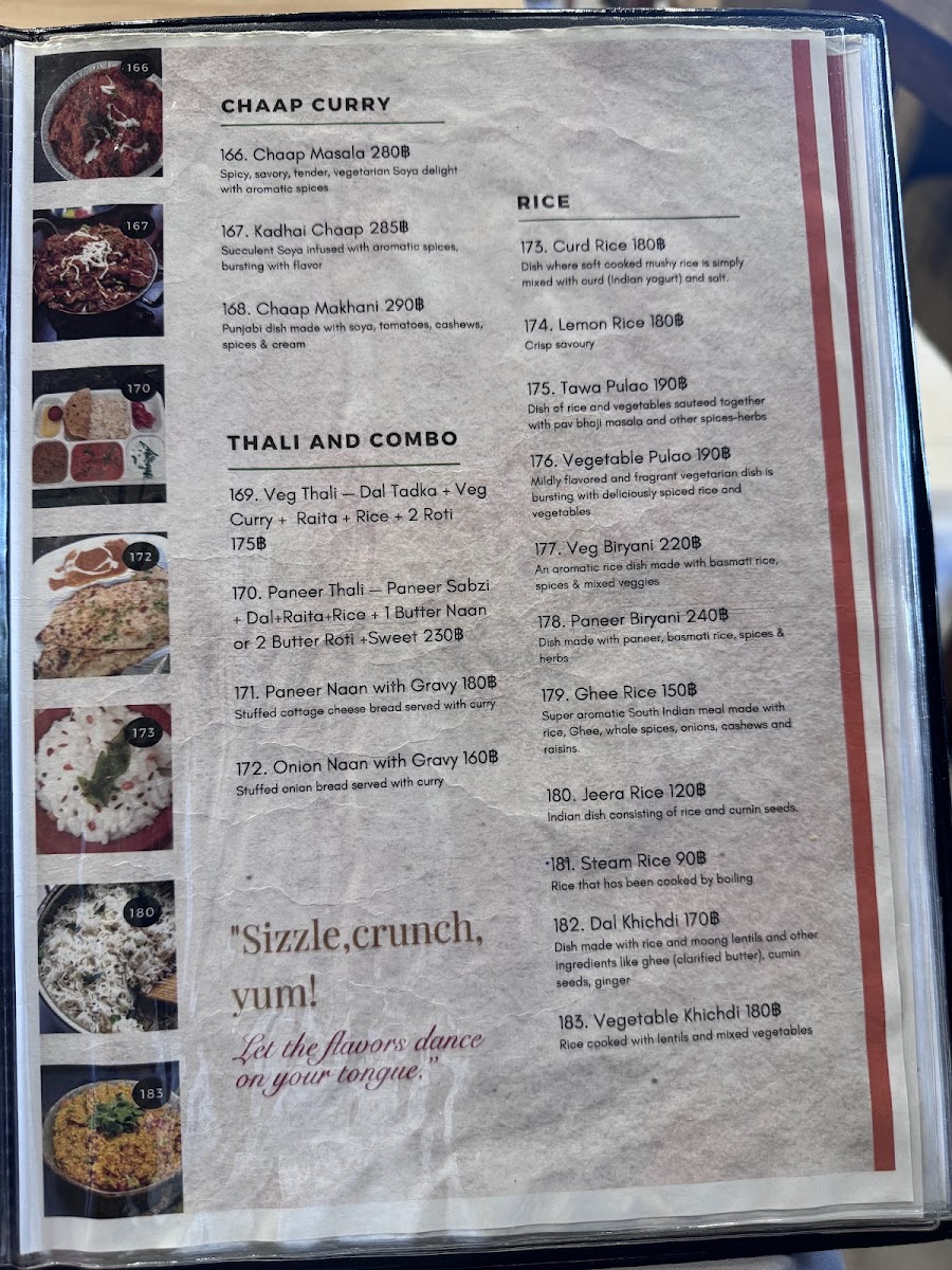 Guru Kripa-Pure Vegetarian Indian Restaurant Photo Menu 6